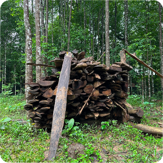 Уд Малазийский (Aquilaria Malaccensis) Индия, 1 г - 100% натуральное эфирное масло