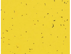 50201 Yellow Sphera Energetic коллекция яркого гомогенного линолеума Forbo купить с доставкой