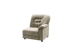 premier-modul-1-mestniy