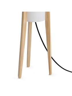 Freya, Напольный светильник (торшер) Bliss, FR5543FL-01T