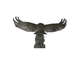 орёл, сапсан, птица, крылья, бронза, статуя, статуэтка, фигурка, скульптура, ястреб, хищник, металл