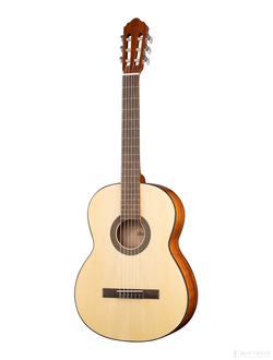 Cort AC100-SG