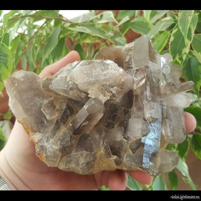 Дымчатого кварц (раухтопаз). Средний Урал.