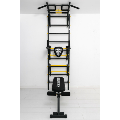 Шведская стенка Ferrum Force FR5 купить в Воронеже