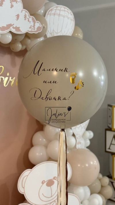 Гендер-шар "Мальчик или девочка"