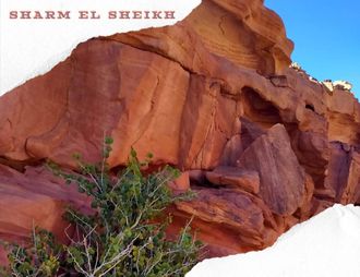 5 in 1 - SALAMA CANYON + THREE POOLS + CAMEL RIDE + DAHAB + QUAD BIKING