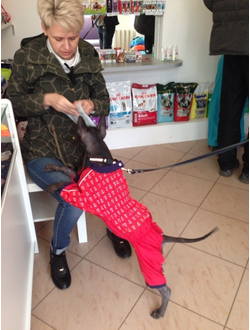 Дождевик Якорь красный