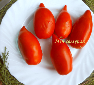 Томат Меч самурая