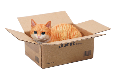 Котик в коробке (рыжий) - Коллекционная ФИГУРКА 1/6 scale The Cat In The Delivery Box 2.0 (JS2302A) - JXK