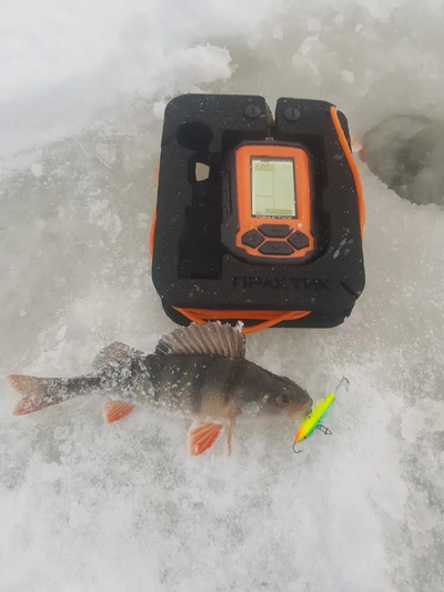 Эхолот Практик 6М