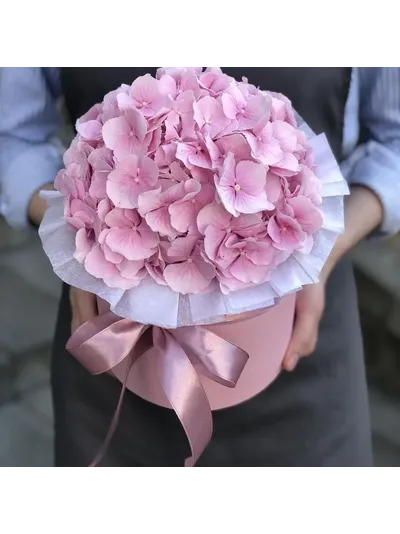 Гортензия в шляпной коробке