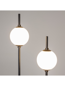 Напольный светильник (торшер) The Sixth Sense, Z020FL-L12BK