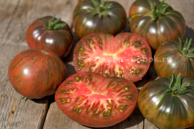 Томат Dwarf The Thong (Гном Тонг), 10 шт