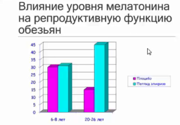 Пептиды эпифиза детородная функция