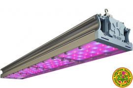 Фитоосвещение теплиц в английском стиле