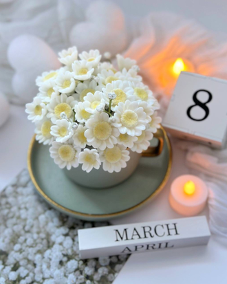 ЦВЕТОЧКИ РОМАШКИ