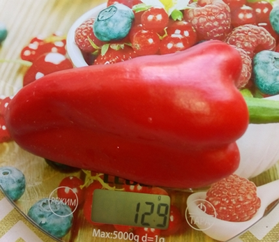 Перец сладкий Горос