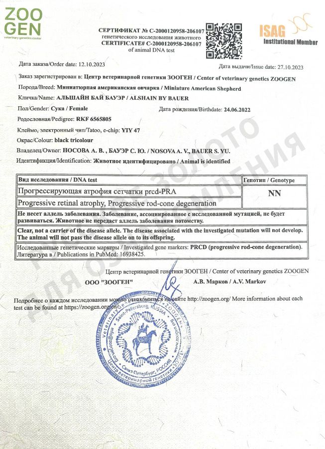 Аля. Результаты анализов на генетические заболевания.