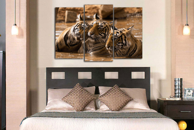 Модульная картина "Тигры в воде"