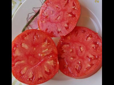 Томат Минусинский от Балуева