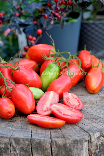 Томат Пальчики Мальвины, 10 шт