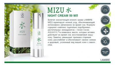 НОЧНОЙ КРЕМ MIZU NIGHT CREAM