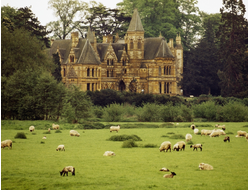 Купить греющую картину с фото отель в Эттингтонском парке, Статфорд, Англия