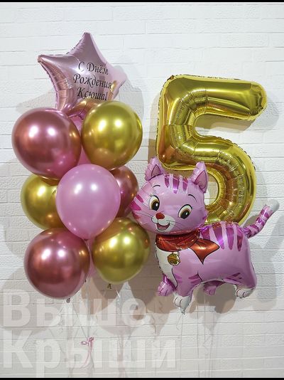 Сет &quot;Кисуля&quot; (11 шариков + 1 цифра)