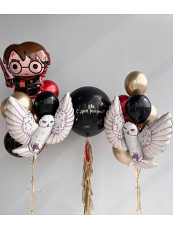 Набор Гарри Поттер