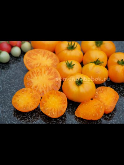 Томат Dwarf Loxton Lad (Гном Парень из Локстона), 10 шт