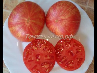 Томат Гном Жар-птица сладкая (Dwarf Firebird sweet)