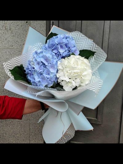 Букет из гортензии "Dreams"