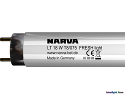 Narva FluoreScent Lamp LT36w/075 Fresh Light T8 G13