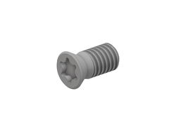 Винт крепления твердосплавной пластины M4x10 Eyltool 1703096