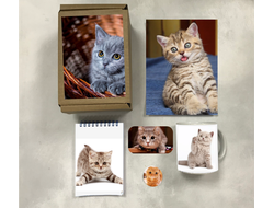 Бокс с котиками №9