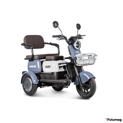 Электротрицикл Rutrike Gelbert Sun 48V/60V 650Вт фиолетово-белый