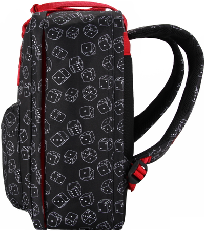 Рюкзак Сумка Чемодан ручная кладь 36x30x27 Optimum Pobeda RL, кости