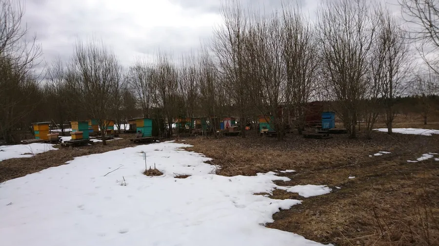 Лыжная трасса