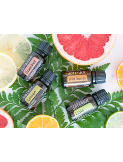 Однокомпонентные эфирные масла doTerra