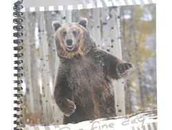 Тетрадь общая в клетку 80 листов "Медведь"