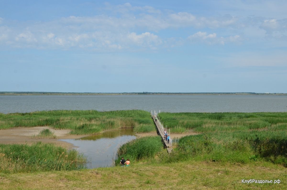 Лебяжье брюховецкий район