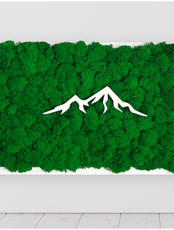 ЖИВАЯ ЭКО-КАРТИНА 1037