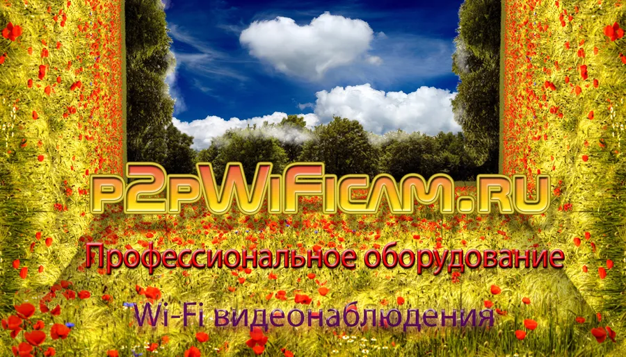 Купить беспроводные IP видеокамеры на p2pWiFicam.ru
