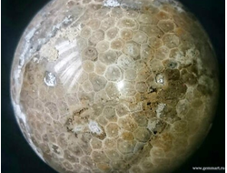 Коралл замещенный кварцем, шар. Около 100мм.