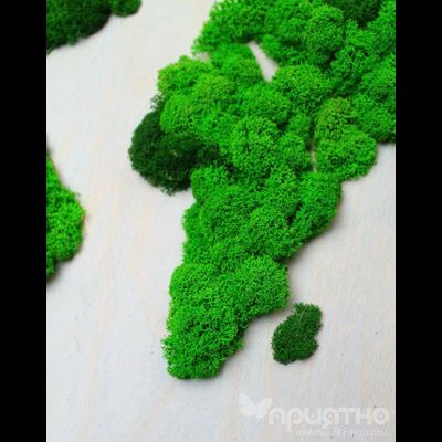 ЖИВАЯ ЭКО-КАРТИНА 1041