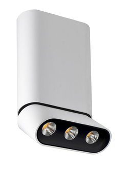 Люстра 8005/3CM-WT-BK ФЕРГУС Lumien Hall