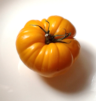 Семена томата Ранний оранжевый Розали