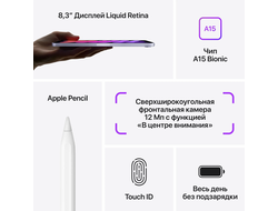 Apple iPad Mini 6 Wi-Fi 64GB EU Фиолетовый