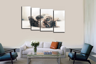 Модульная картина "Нежится на диване"