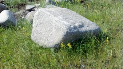 Валун габро